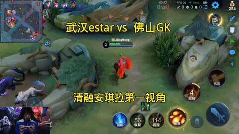 的对抗适应