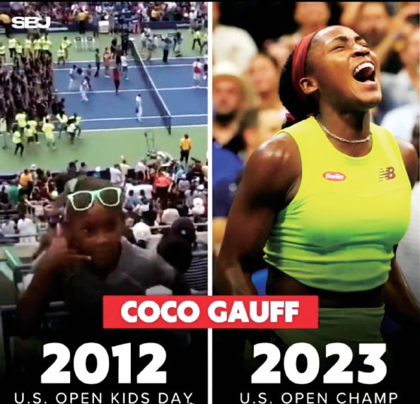 整体表现 整体表现