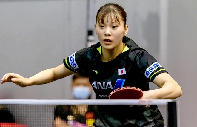 本届赛事的 本届赛事的