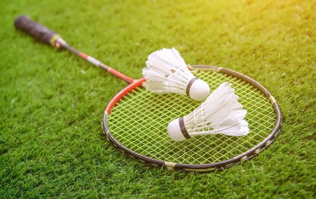 粉丝不是提 粉丝不是提